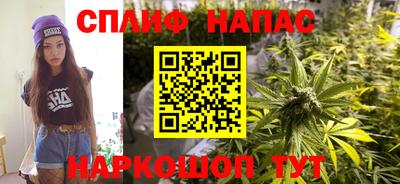ешки Можга